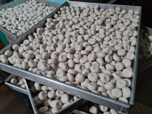 CNY Specials: Hakka Abacas Seeds 客家三色算盘子